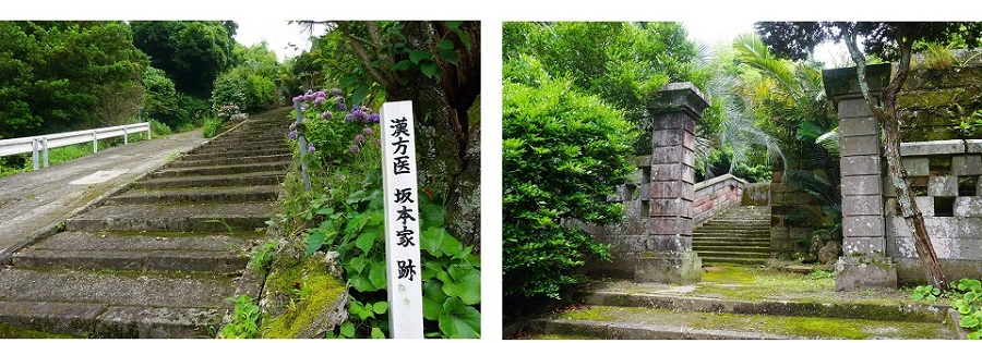 秋目_02