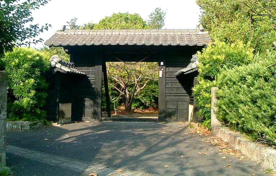 敷根_