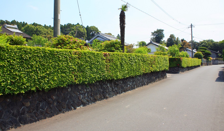 高城