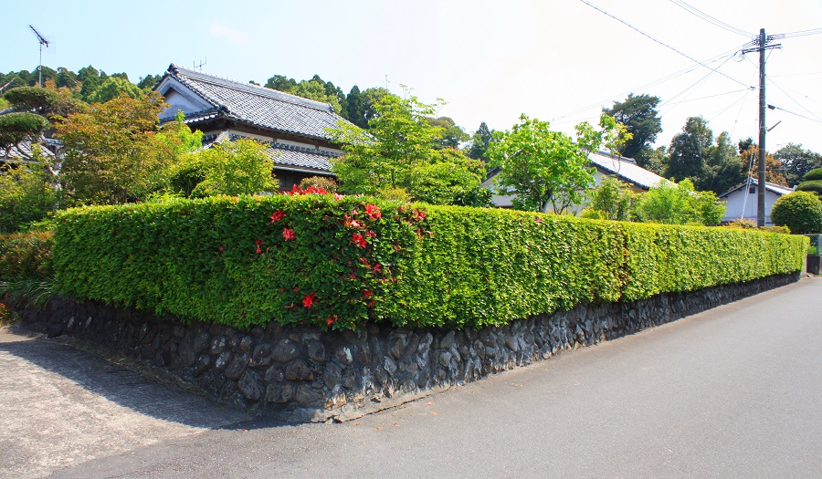 高城